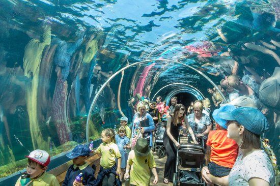 Dierentuin van Colchester